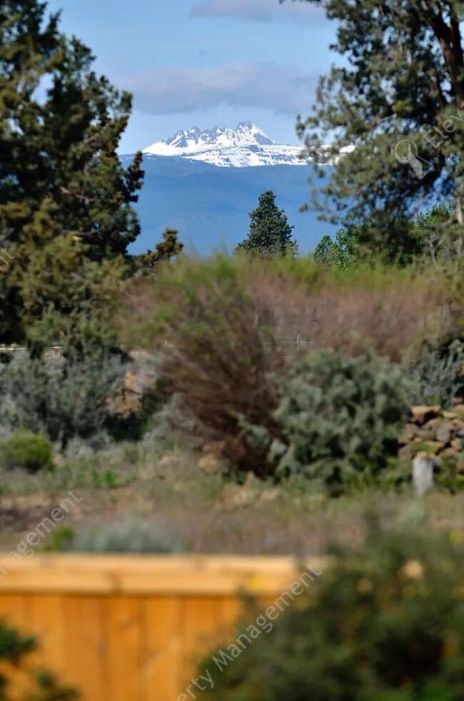 Building Photo - Coming Soon! UNFURNISHED and Updated Singl...