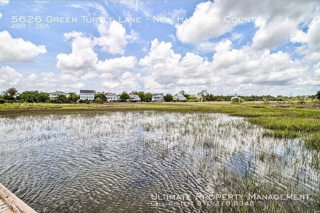 Building Photo - Gorgeous Home for Rent in Turtle Hall!