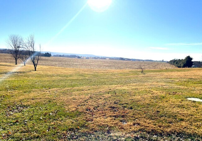 Building Photo - 8298 Scenic Dr