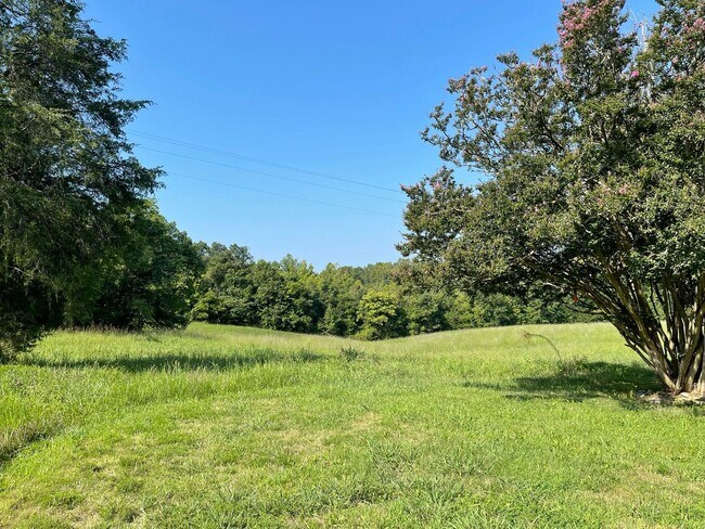 Building Photo - 20 mins to Clarksville, Virginia and Located Just Off Highway 58