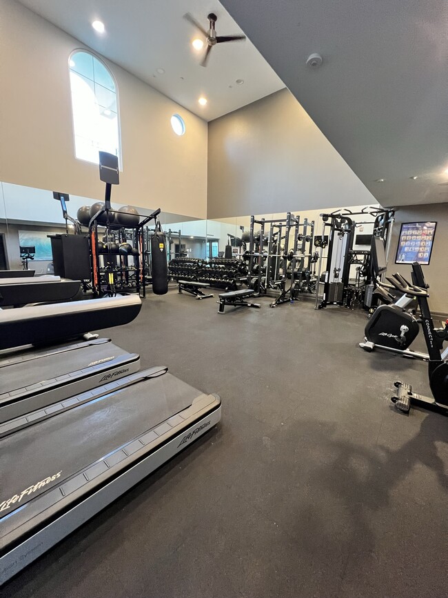 Gym (cardio equipment, squat rack, free weights, cable tower, and more!) - 3950 Ohio St