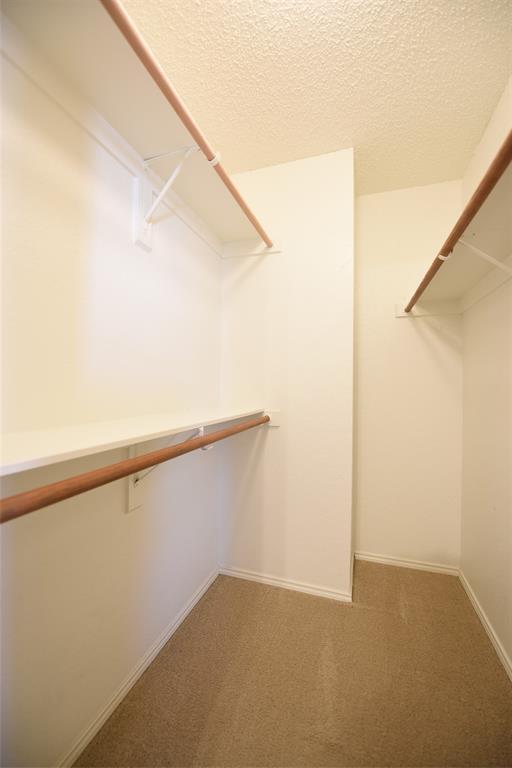 Building Photo - 3117 Fox Meadow Trail