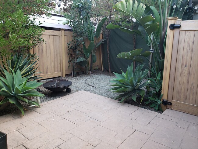 Private yard - 503 Bay St