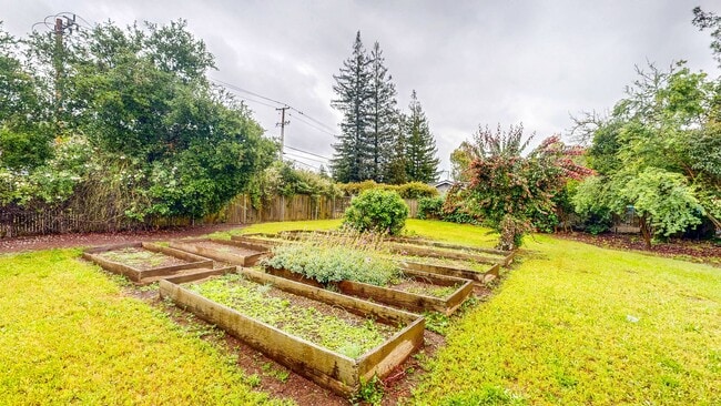 Building Photo - Bright and Beautiful 4 bedroom 2.5 Bath with large enclosed back yard and close proximity to Mari...