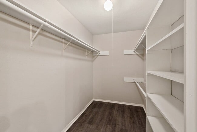 Building Photo - 2411 Cypressvine Dr