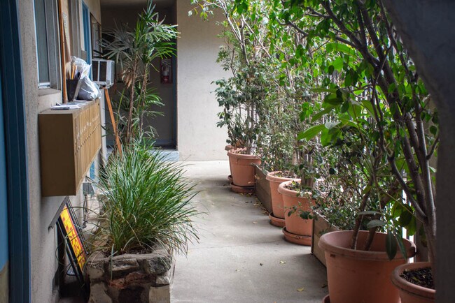 Building Photo - 10300 National Blvd