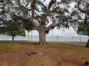 Building Photo - 4007 Bayshore Blvd