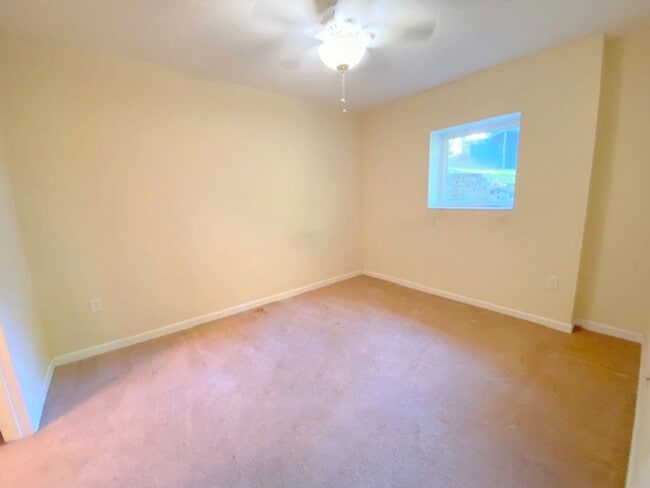 Building Photo - West Asheville Basement Apartment