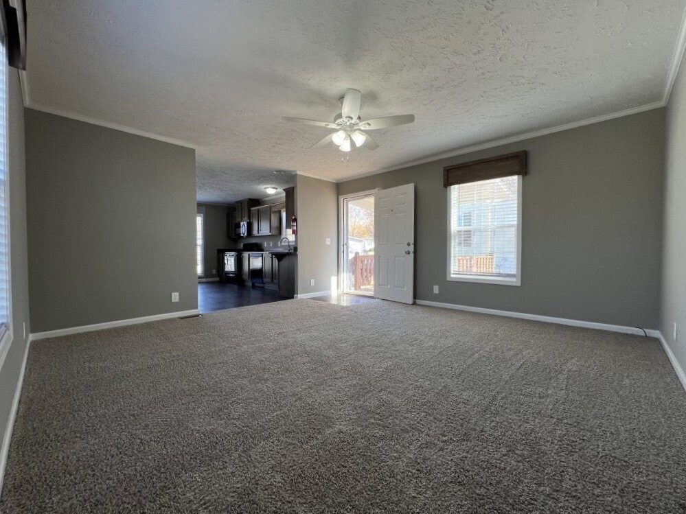 Building Photo - 41 Water Oak Ct