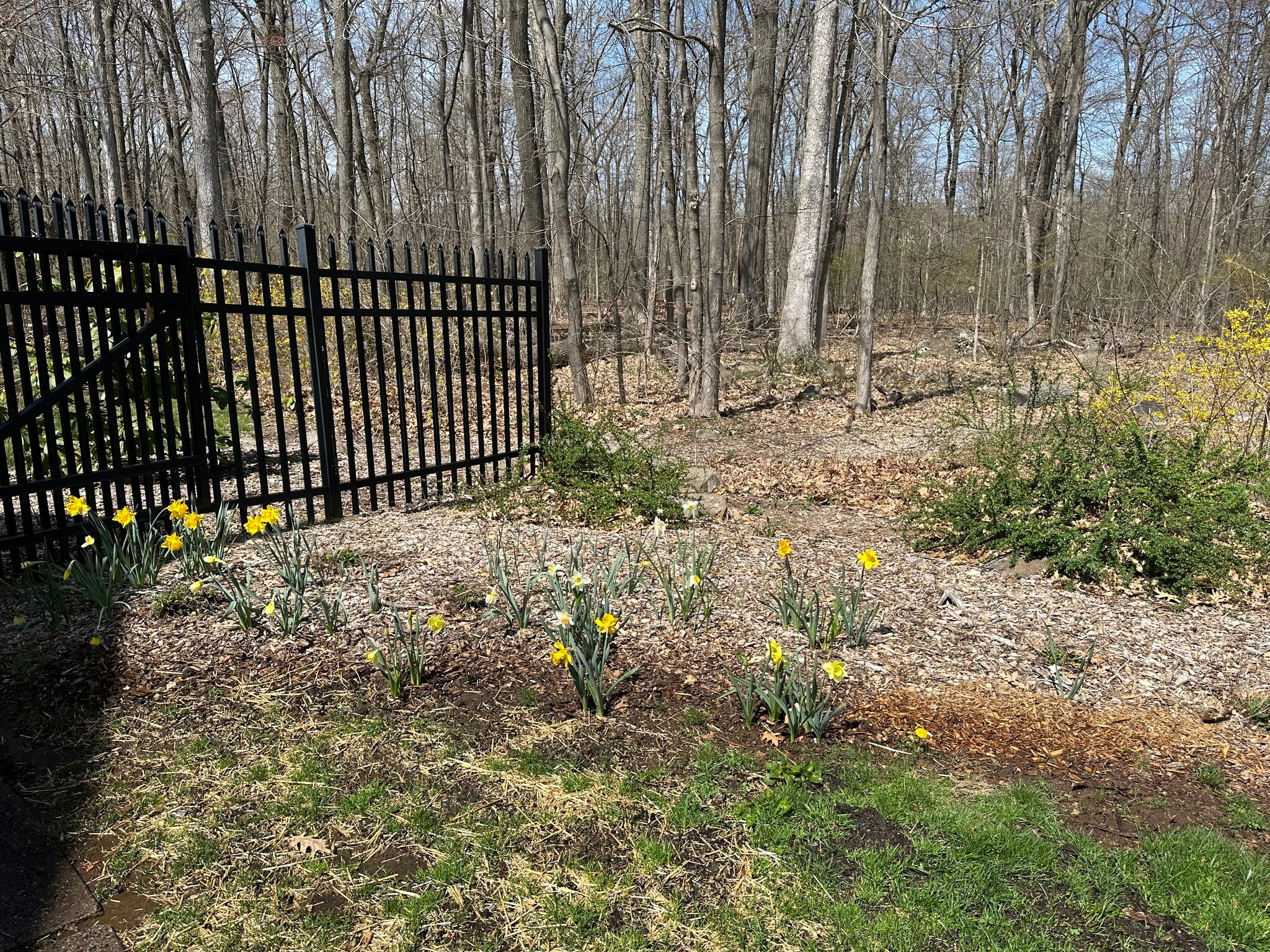 Lovely wooded setting - 1310 Slater Rd