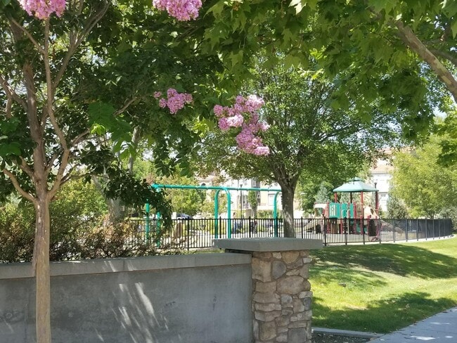 Building Photo - 2982 Larciano St