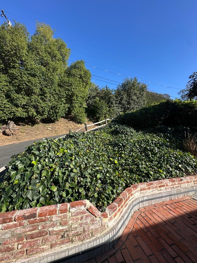 Building Photo - 4370 Calavo Dr