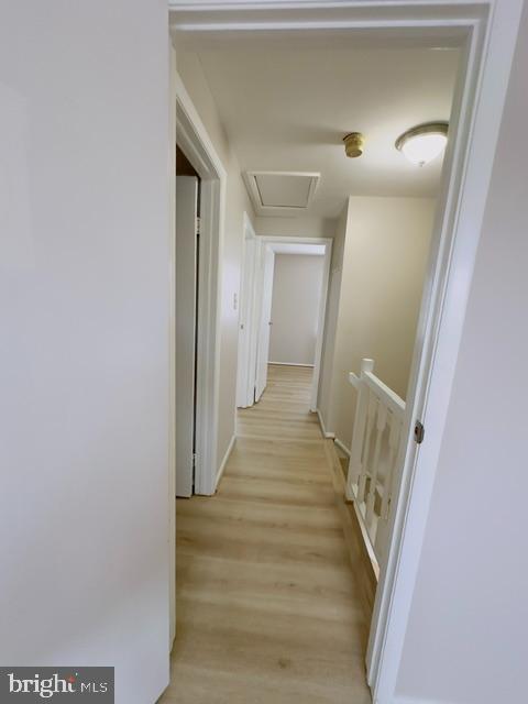 Building Photo - 3442 Belfry Ln