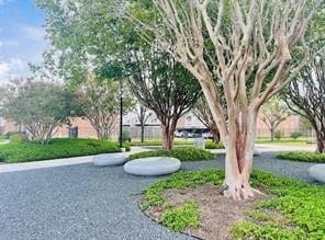 Building Photo - 10051 Westpark Dr