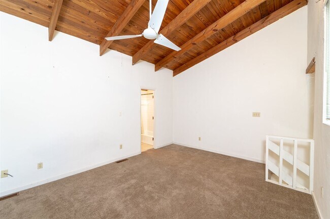 Building Photo - 1311 Rumba Ln
