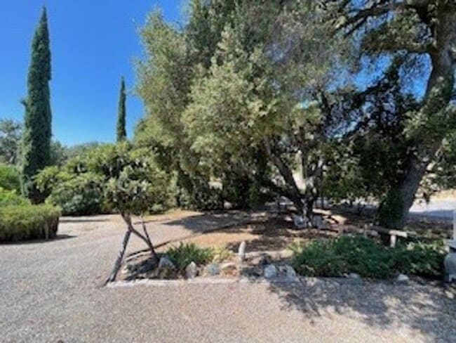 Building Photo - One of Kind 4 bedroom, 2 bath house with P...