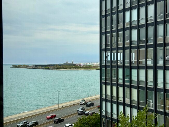 Building Photo - 900 N Lake Shore Dr