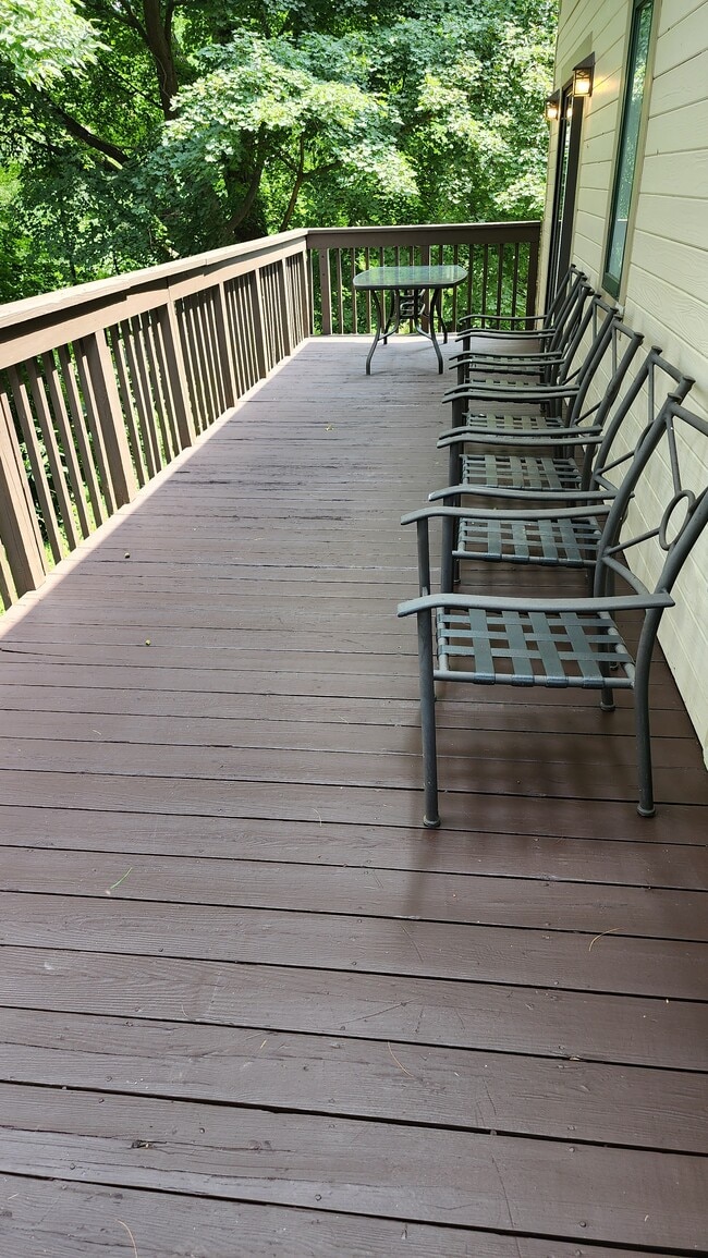 Back Deck - 111 Ferndale Ave