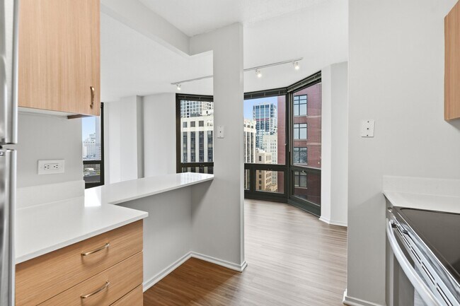 Building Photo - 1138 N Dearborn St