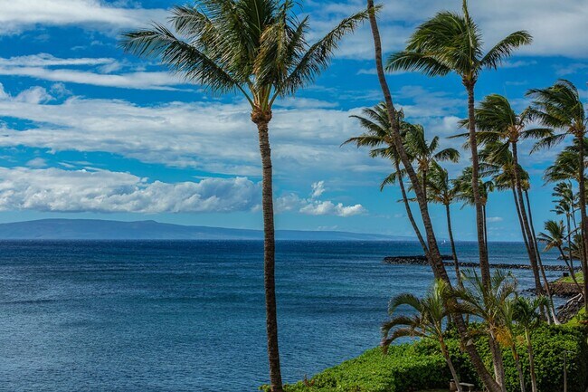 Building Photo - 150 Hauoli St