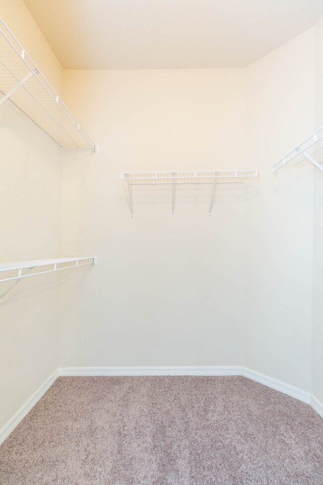 primary closet - 5808 Fishhawk Ridge Dr