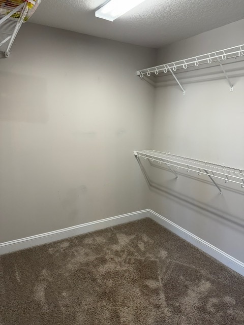 Building Photo - 269 Wood House Dr