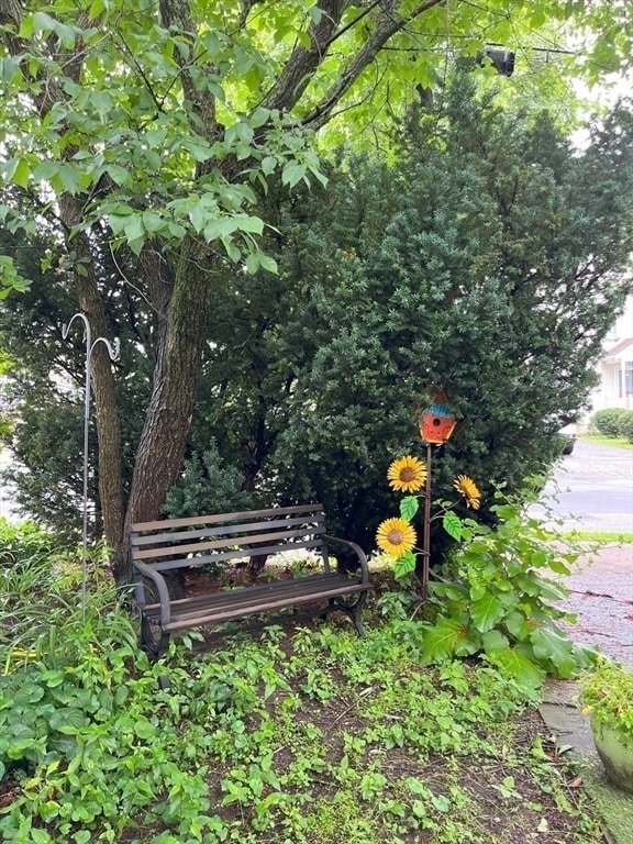 Building Photo - 85 Gardner St