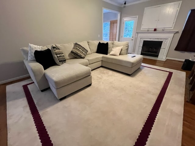 Living Room - 205 Camellia Dr