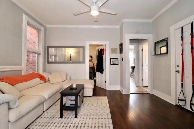 Building Photo - 19 Graham St