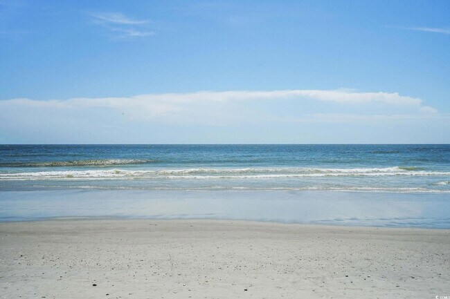 Building Photo - 300 Champion Boulevard Unit Surfside