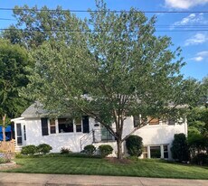 Building Photo - 1206 Cutler Ln