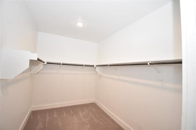 Building Photo - 3304 Lenten Rose Ln