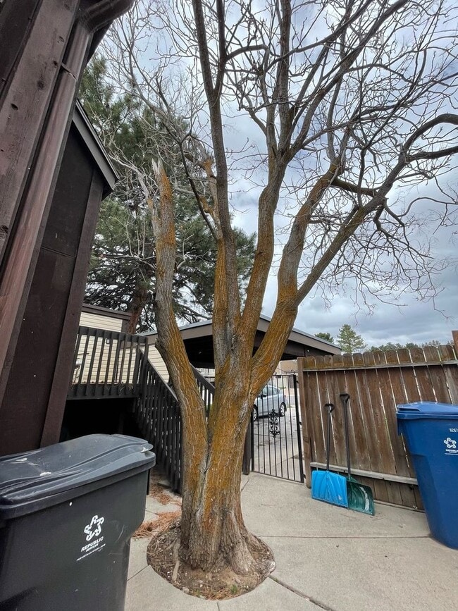 Building Photo - Beautiful South Ogden home