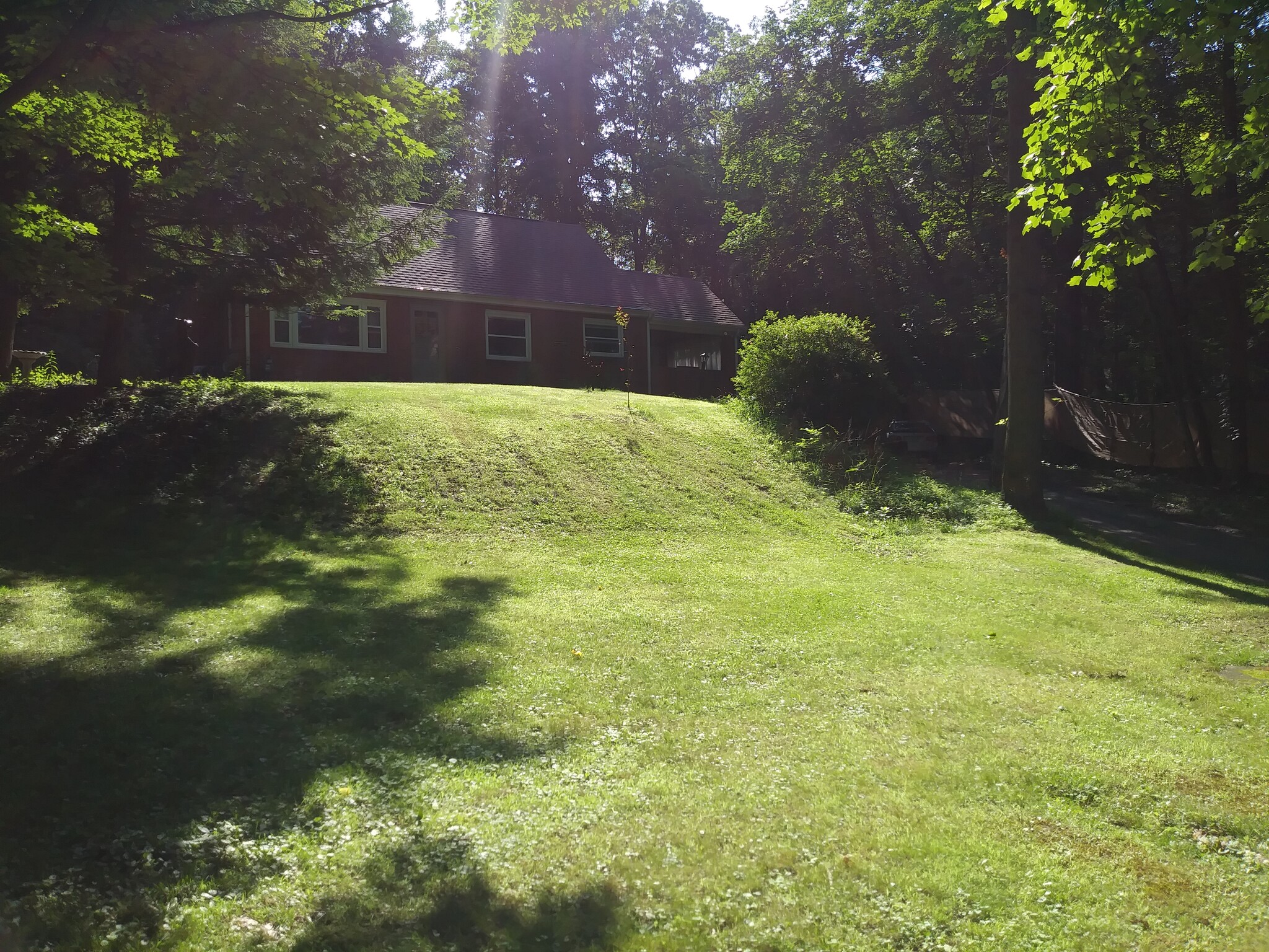 Front lawn view. - 117 Fern Hollow Rd