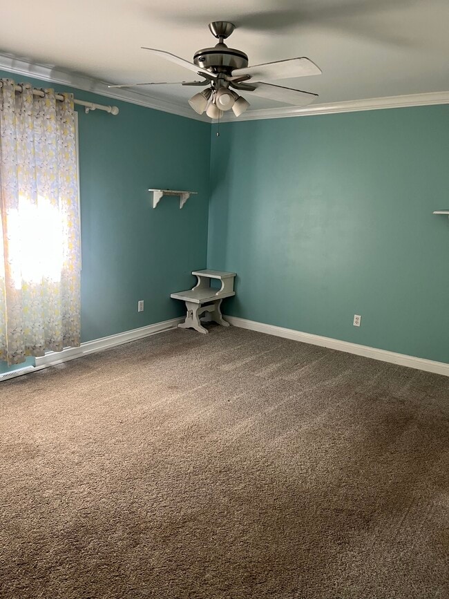 Building Photo - 6331 Broughton Ave