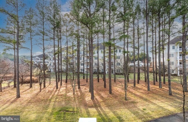 Building Photo - 15110 Heather Mill Ln