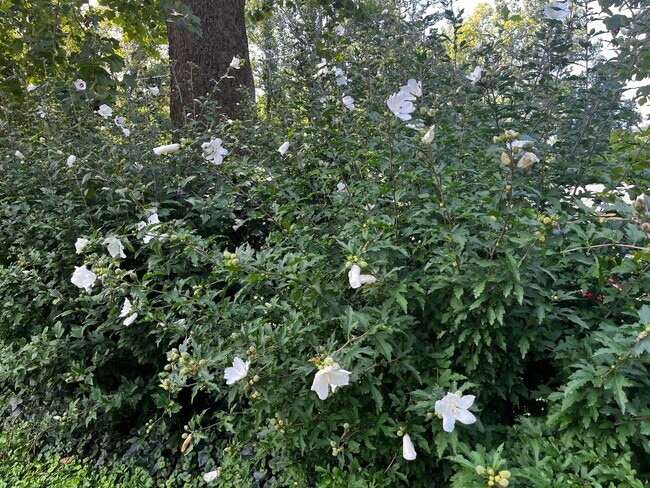 Building Photo - 3269 US-176