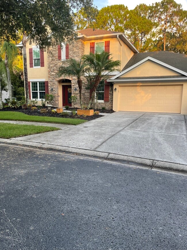 16118 Colchester Palms Dr 16118 Colchester Palms Dr Tampa FL 33647