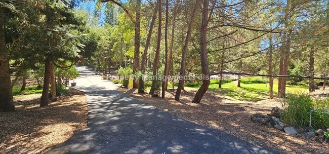 Primary Photo - Charming 1-Bedroom Retreat in Desirable Ch...