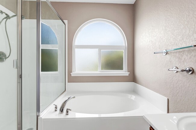 Building Photo - Alamo Ranch