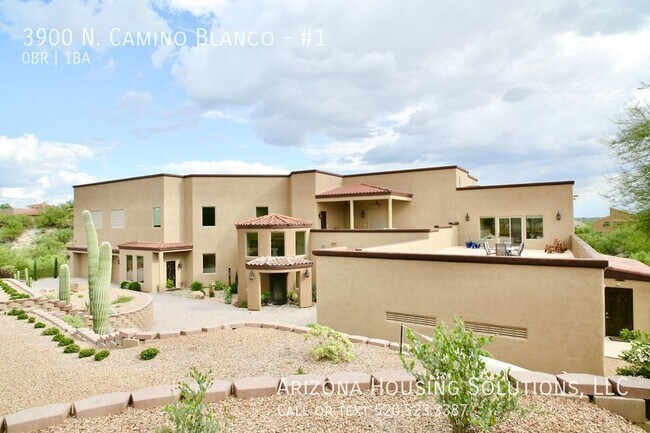 Building Photo - 3900 N Camino Blanco