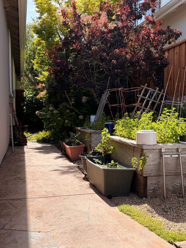 Building Photo - Beautiful Deerfield Home in One of Scotts Valley's Most Desirable Neighborhoods