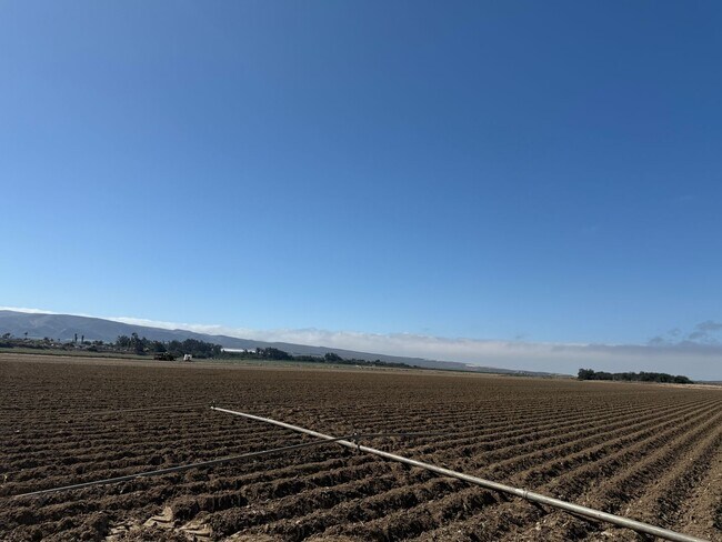 Building Photo - Free Month of Rent for Move in before Dec 1st - Large Brand New 2 Bedroom Apartment with Patio