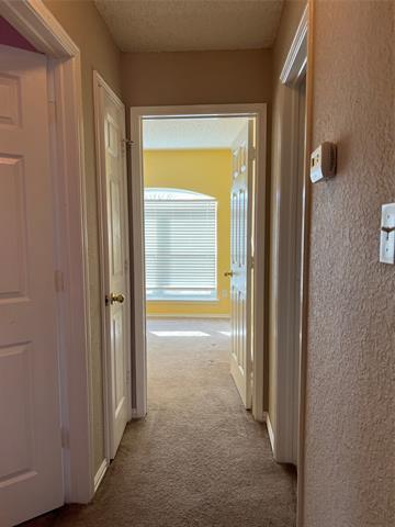 Building Photo - 6015 Harwood Crossing Dr