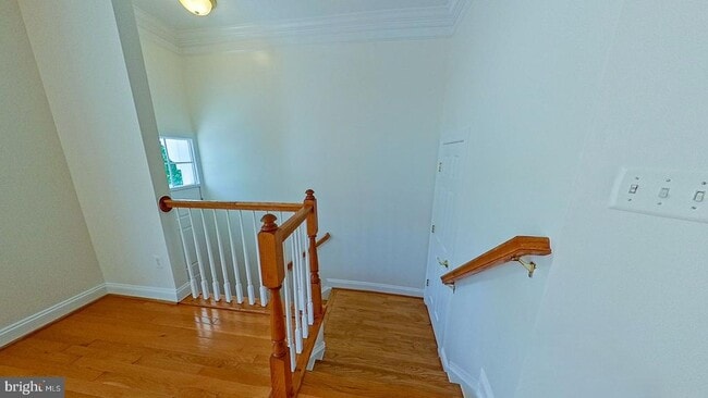 Building Photo - 3905 Chelsea Park Ln