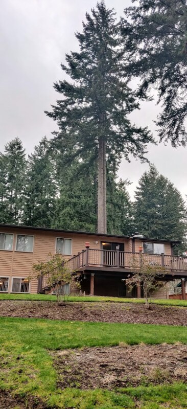 Building Photo - 4513 60th Ave W