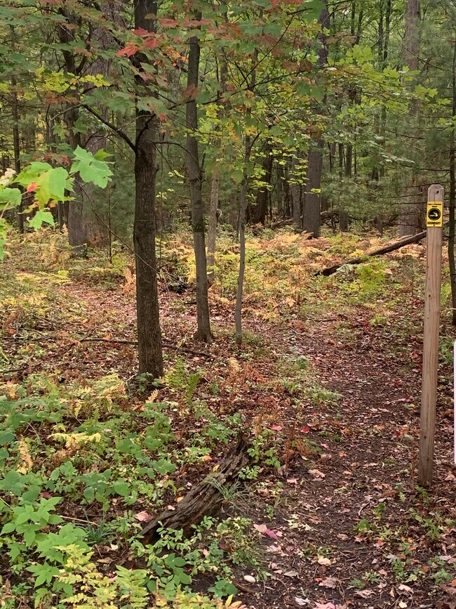 Building Photo - 4244 Mitchell Creek Dr