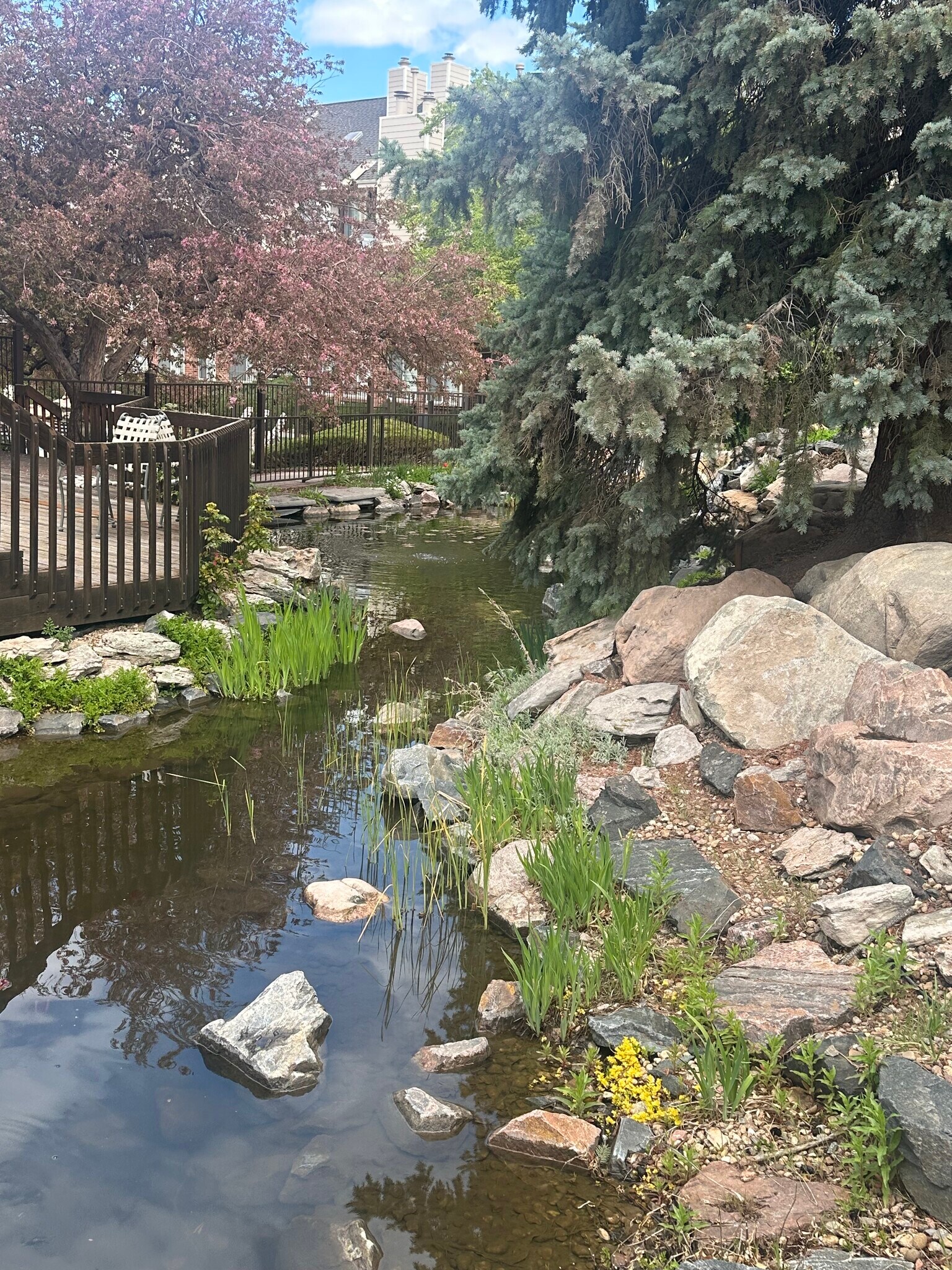 Community Pond - 13781 E Lehigh Ave