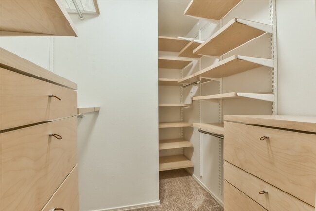 Building Photo - 20 Tulip Hill Ct