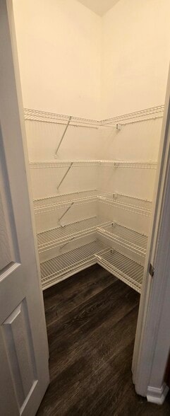 Food Pantry off Kitchen - 1729 Coleville Oak Ln